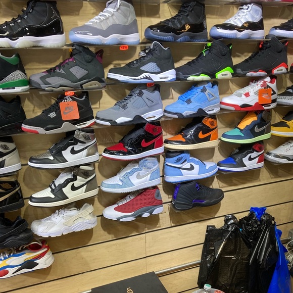 Meet your Posher, Julius - Picture 7 of 8